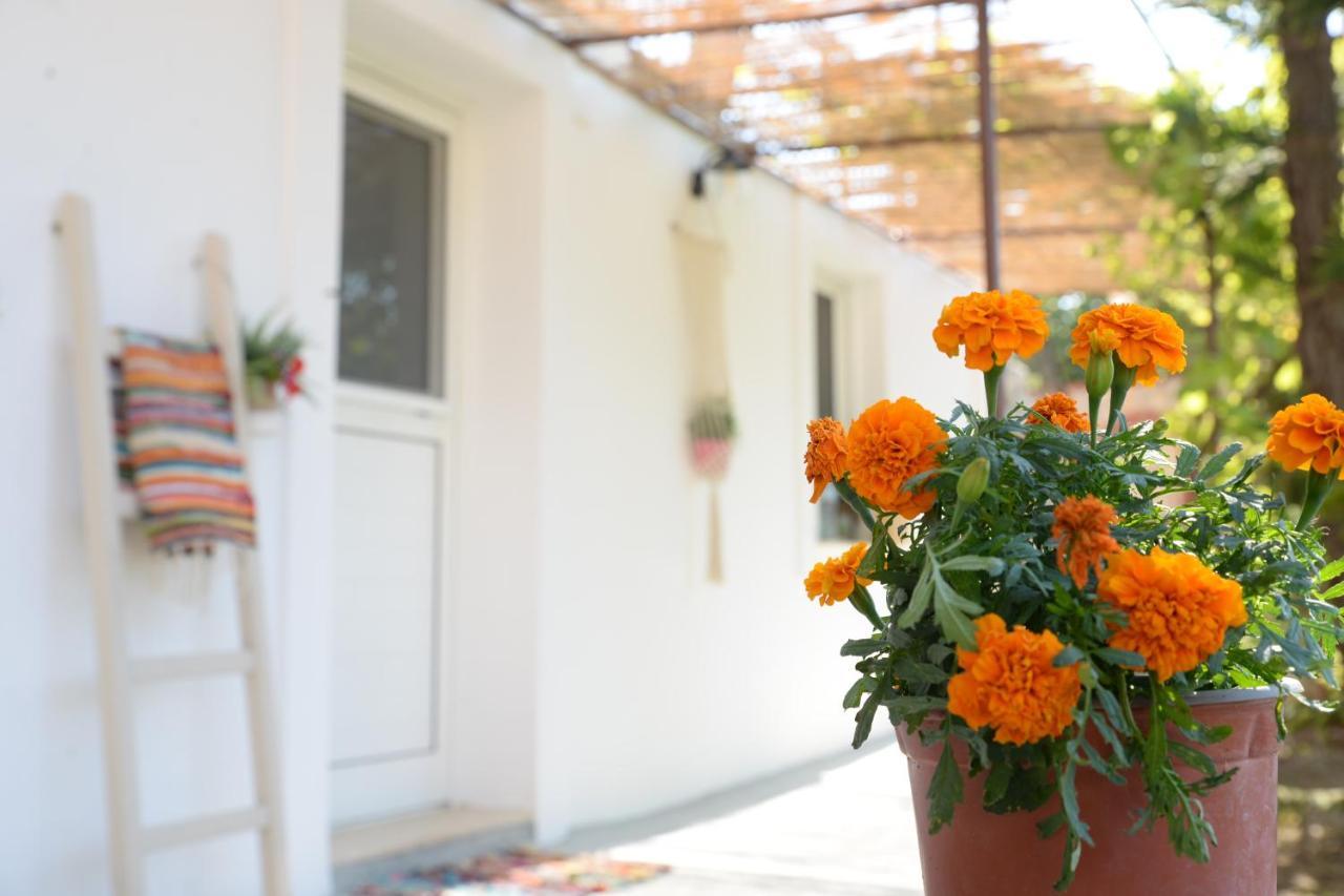 Myrtus Guest House Myrties ภายนอก รูปภาพ